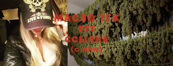 дмт Лабытнанги