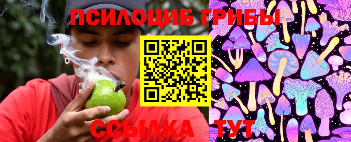 Псилоцибиновые грибы Psilocybine cubensis  наркота  Вход с VPN  Махачкала  Галлюциногенные грибы GOLDEN TEACHER 