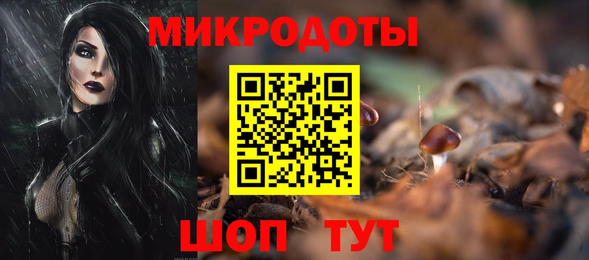 Галлюциногенные грибы Psilocybine cubensis Махачкала